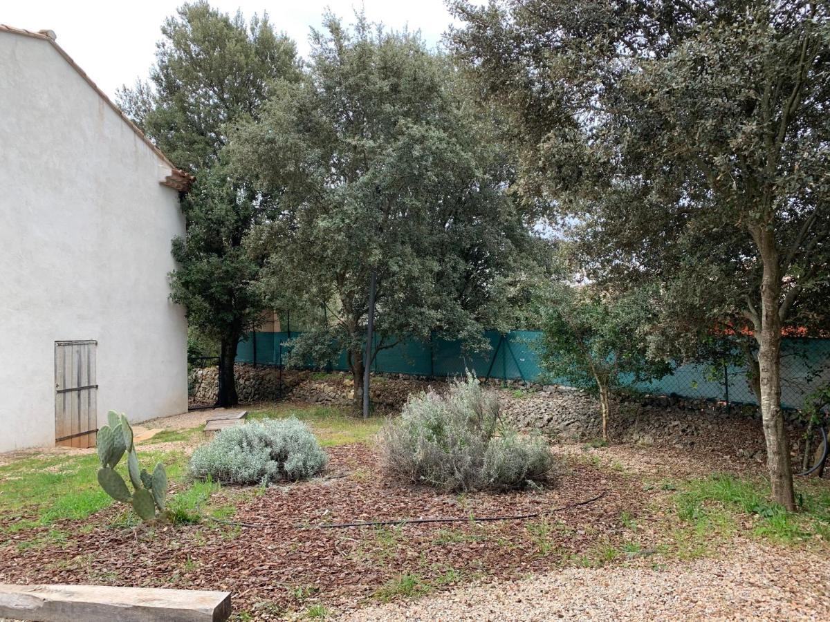 Magnifique Villa Classee 4* Meuble De Tourisme Flassans-sur-Issole Zewnętrze zdjęcie